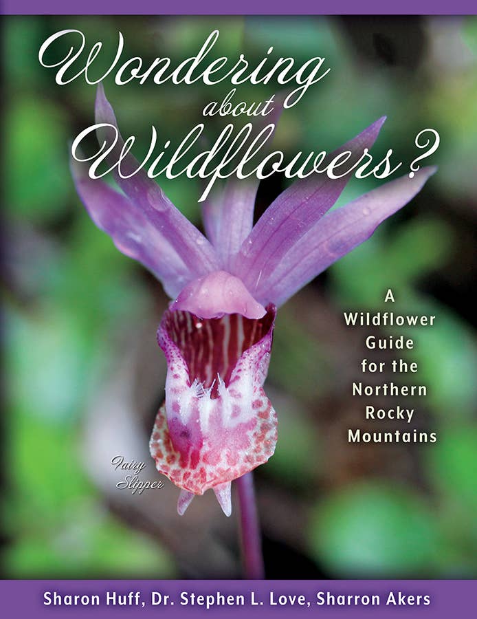 Wondering About Wildflowers