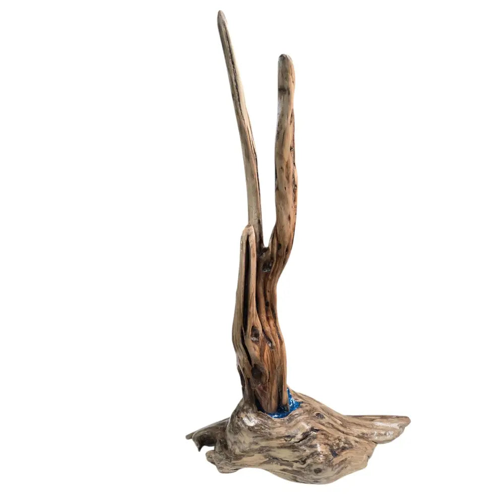 Artisan Handcrafted Polished Driftwood Counter Jewelry Display