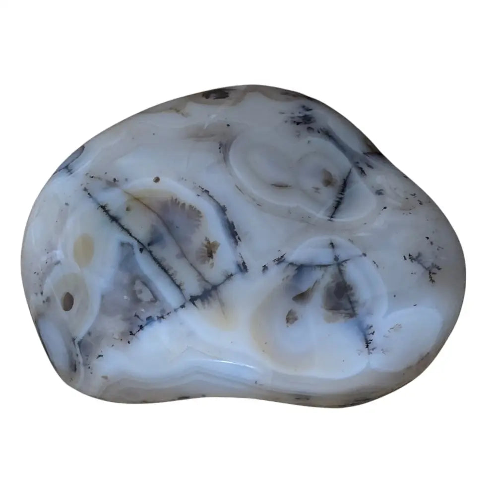 Large Polished Montana Moss Agate