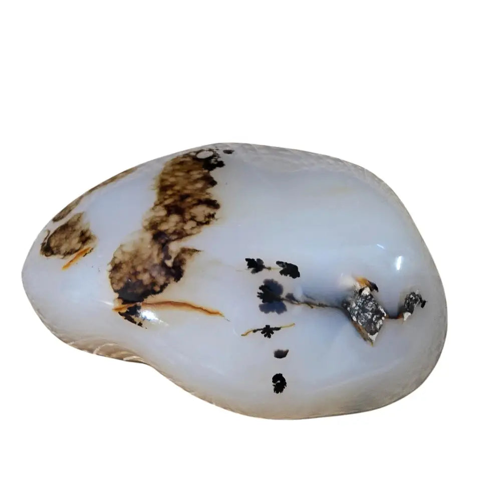 Large Polished Montana Moss Agate
