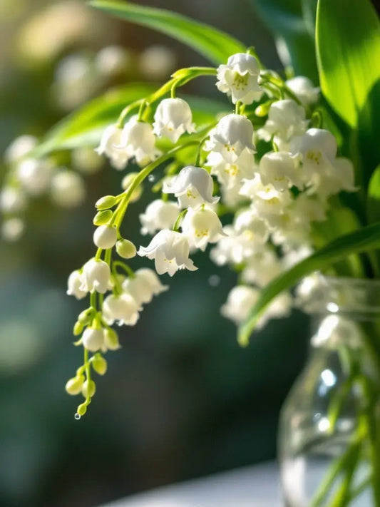 Lily of the Valley Trailhead Candles Candles